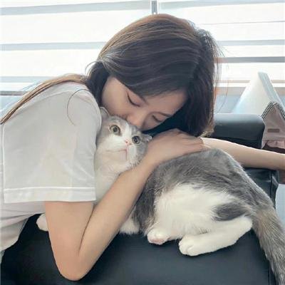 钢铁少女团2海报